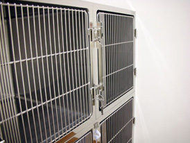 ���ɁE�L��