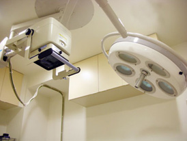 �����g�Q��